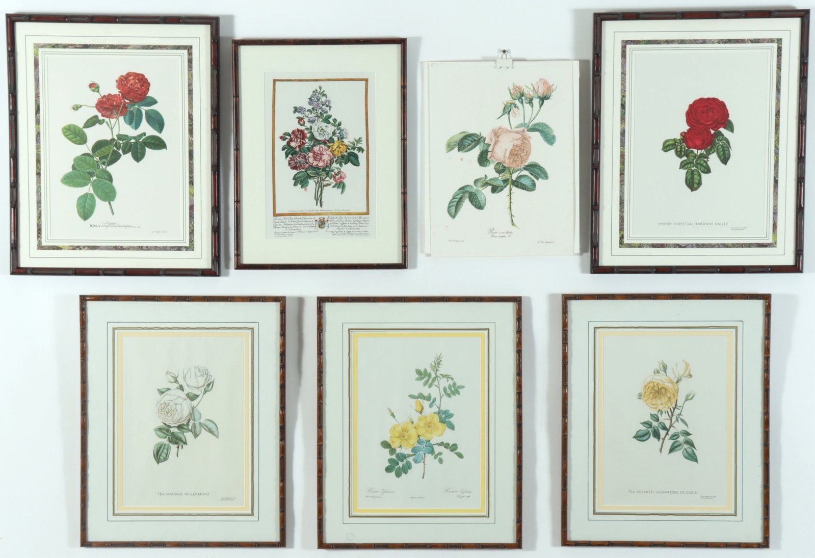 7 Framed Rose Botanicals - Bamboo Styled frames: Collection of framed Rose Botanicals, includes Three Henry Curtis, (British 1819-1889) Hybrid Perpetual, Baronne Hallez; Tea, Madame Willermorz; Tea Scented, Vicomtesse De Cazis from Nature & on