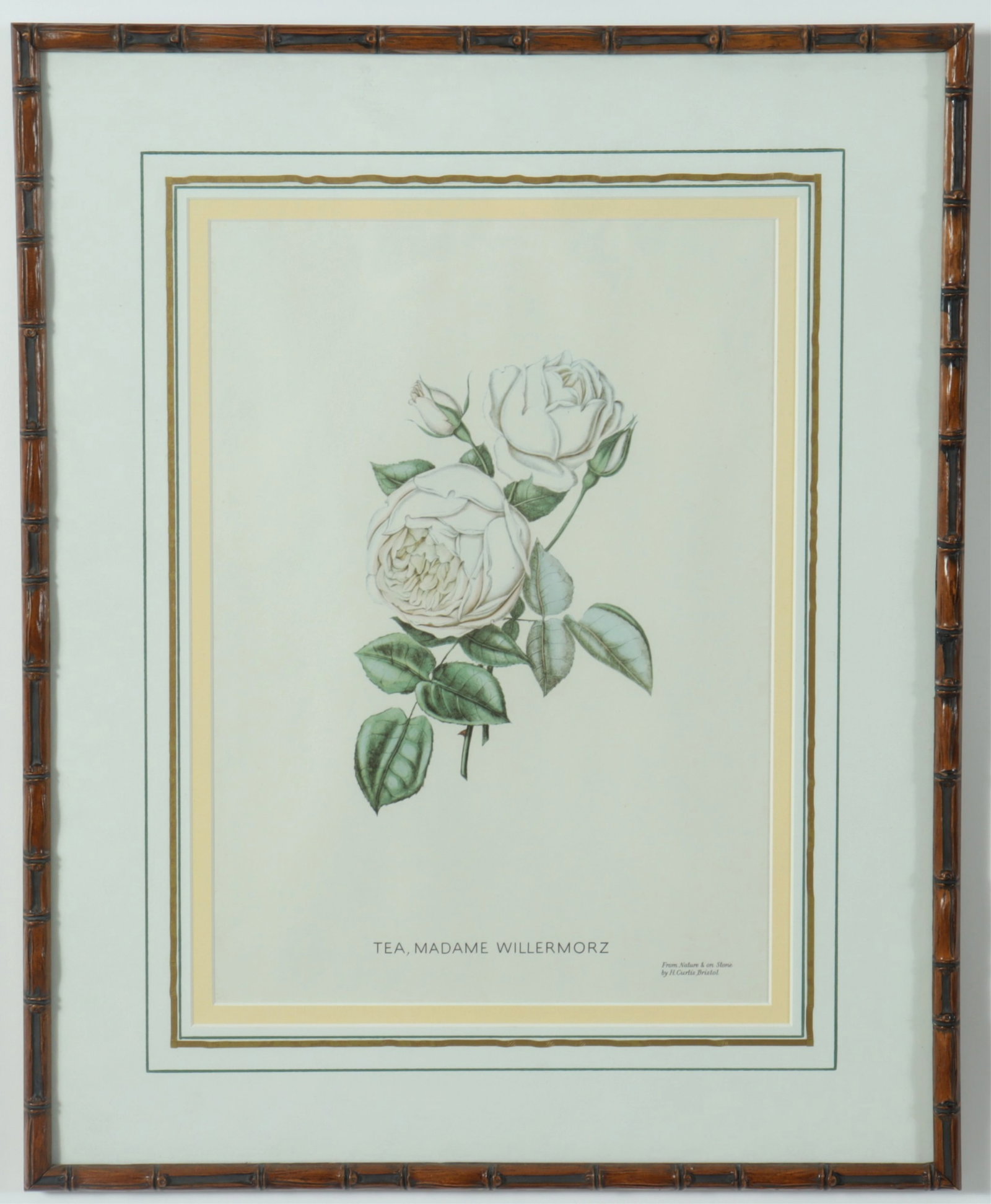 7 Framed Rose Botanicals - Bamboo Styled frames - 2