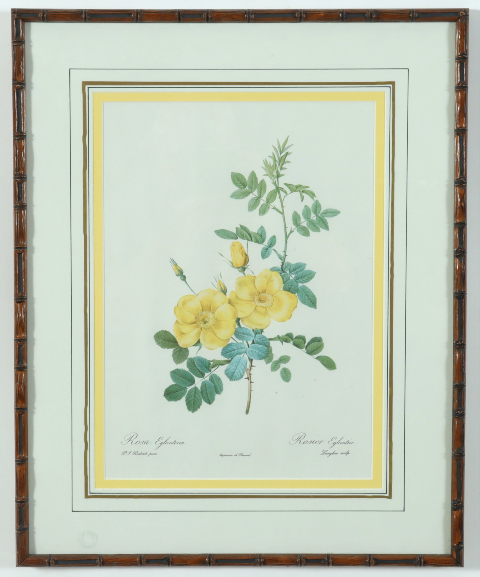 7 Framed Rose Botanicals - Bamboo Styled frames - 3
