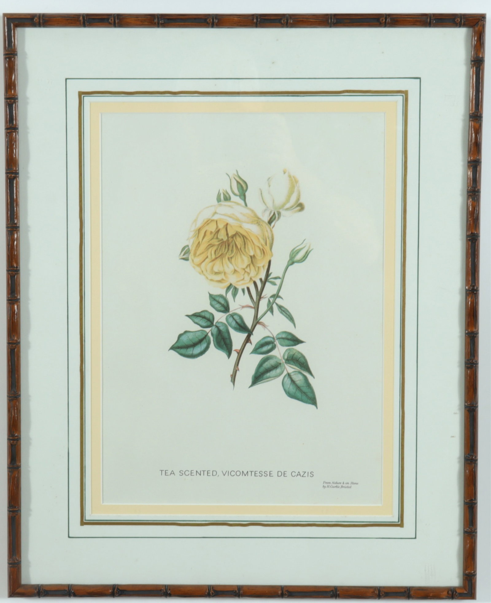 7 Framed Rose Botanicals - Bamboo Styled frames - 4