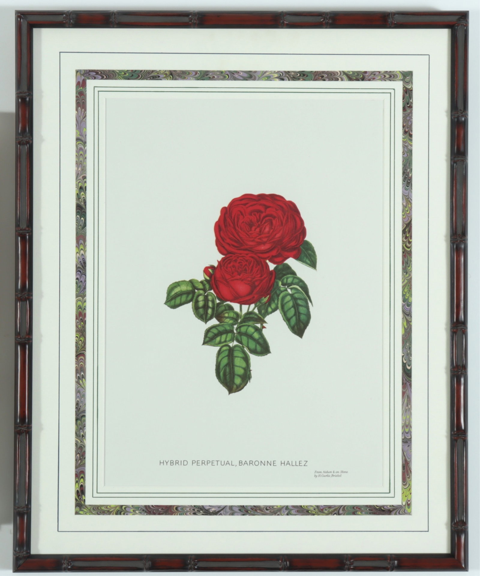 7 Framed Rose Botanicals - Bamboo Styled frames - 5