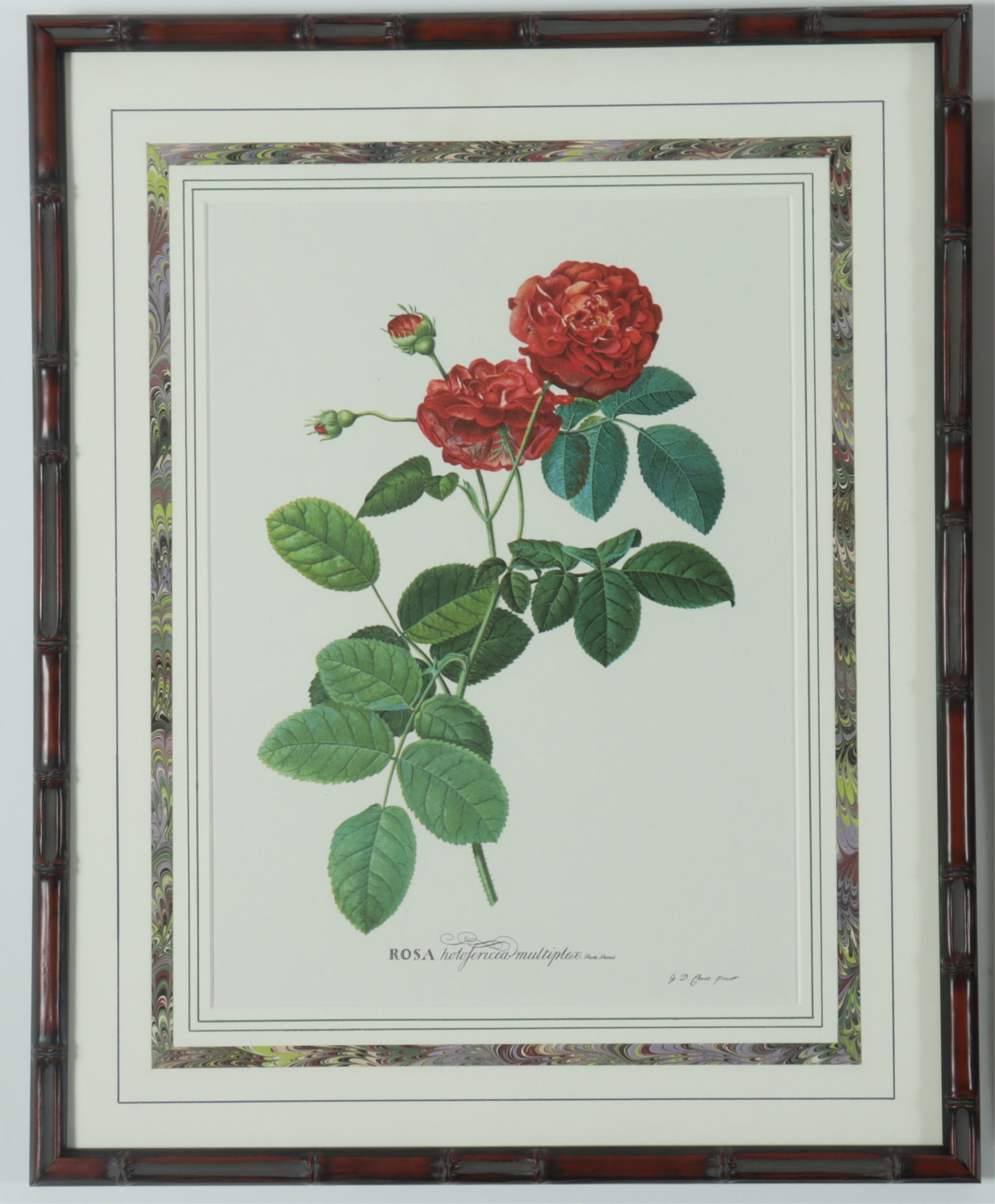 7 Framed Rose Botanicals - Bamboo Styled frames - 8