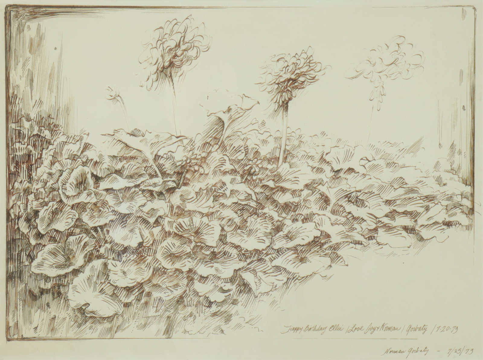 Norman Gorbaty - Geraniums, Drawing (1 of 8)