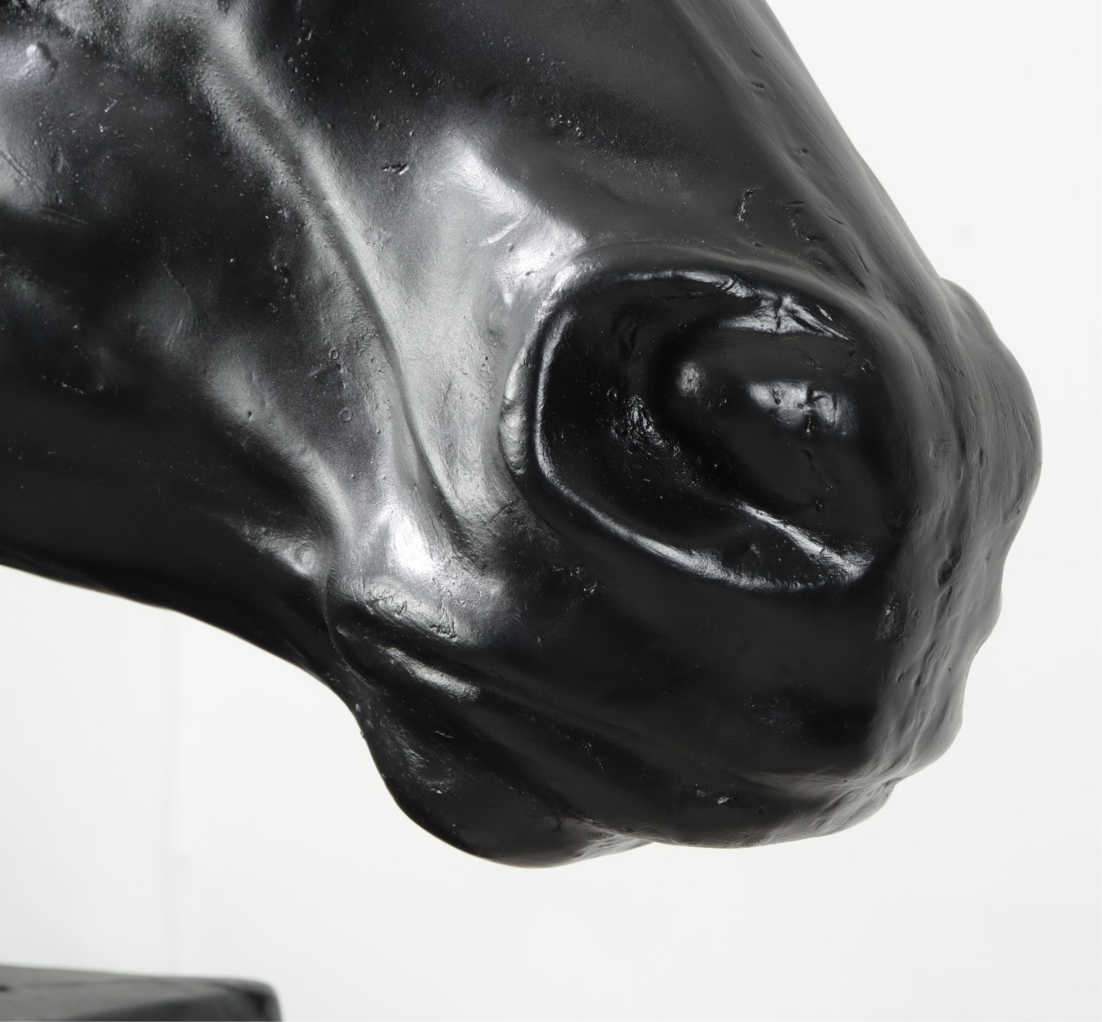 Composition Horse Bust - 6
