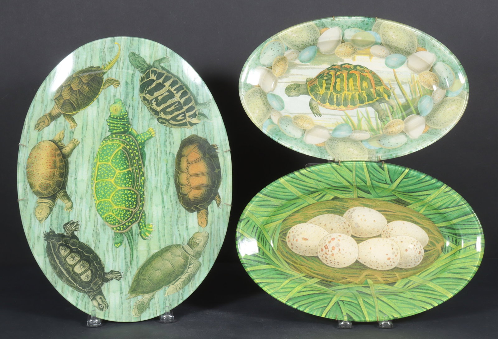 Three John Derian Decoupage Turtle Plates: A group of three John Derian oval plates depicting a series of turtles and eggs. Each signed and labeled verso, with wall hangers.