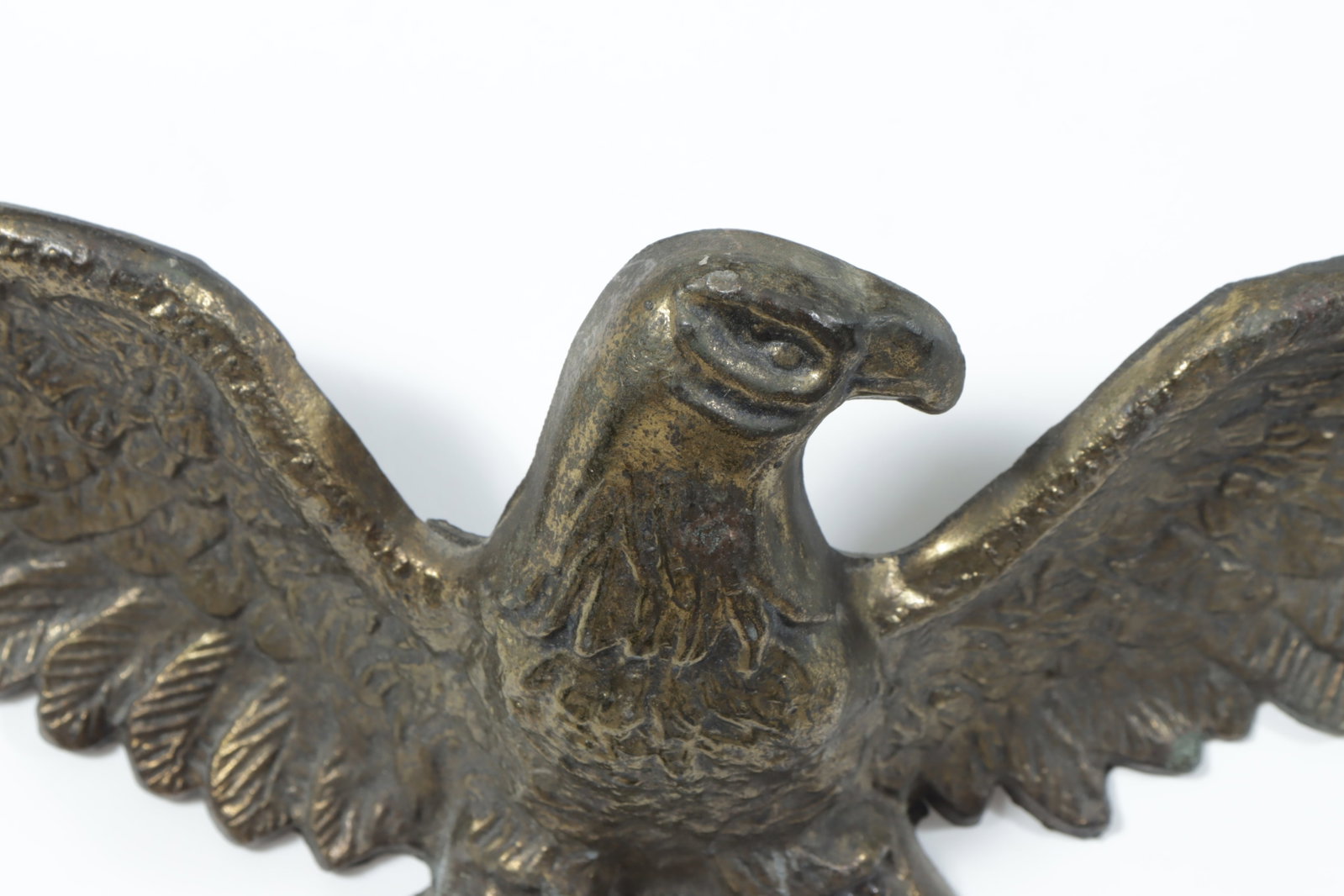 Bellamy Style Eagles - 5