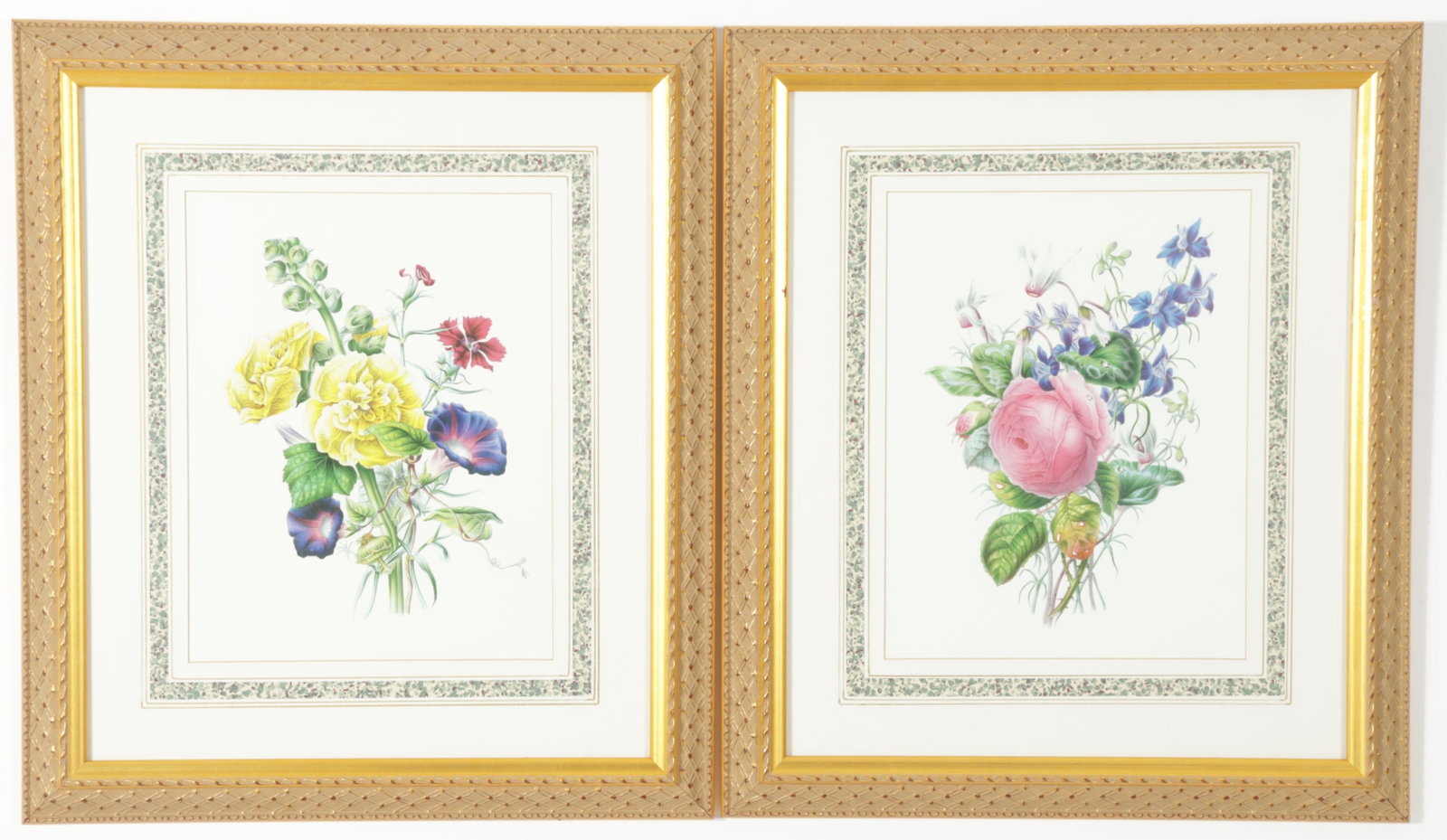 Pair of Framed Botanical Prints (1 of 5)