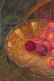 Still Life, In Manner of Carducious Dupree, o/c - 4