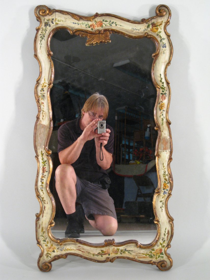 Rococo Style Painted Floral and Gilt Mirror (1 of 5)