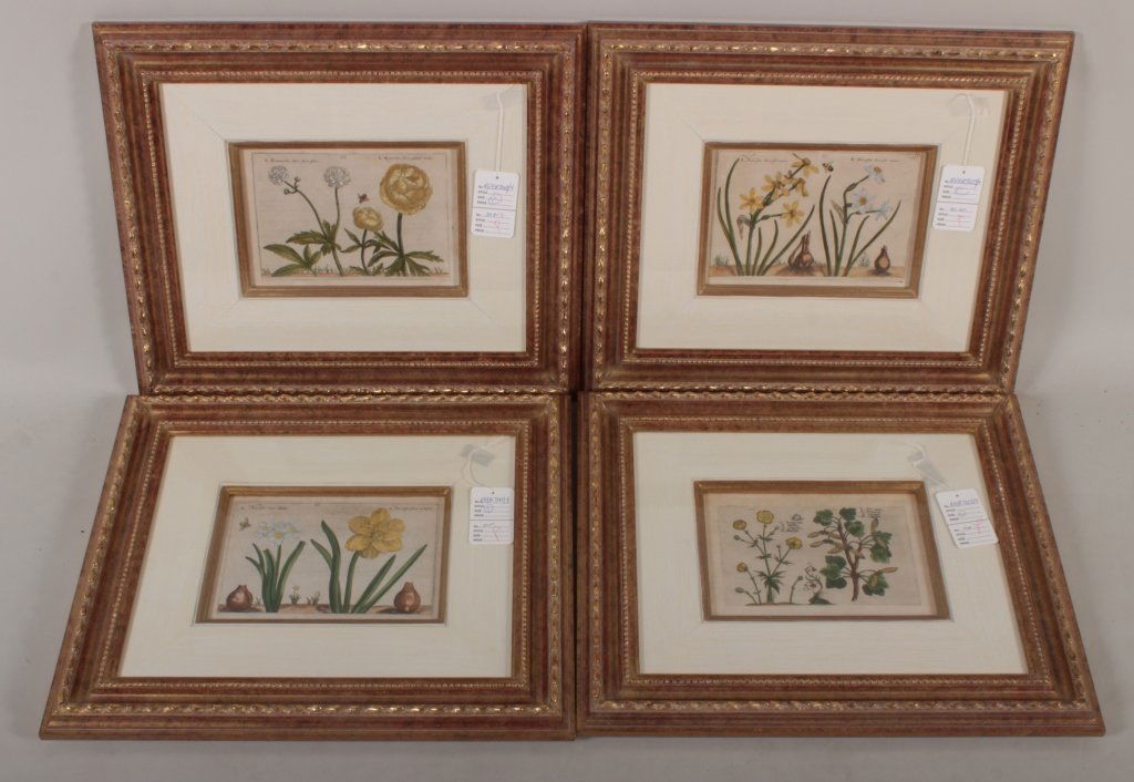 4 Floral Color Prints, 19th /20th (1 of 4)