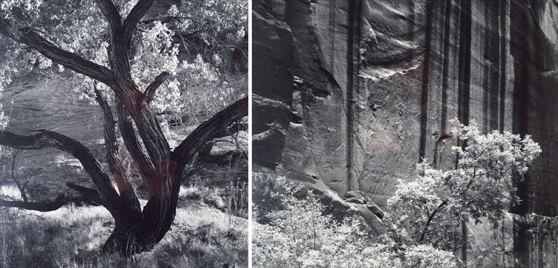 Bruce Barnbaum, "Shive The Dancer" Photographs (1 of 10)