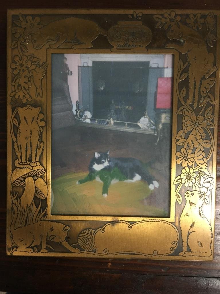 Vintage M. W. Carr  Housecat Copper Frame (1 of 6)