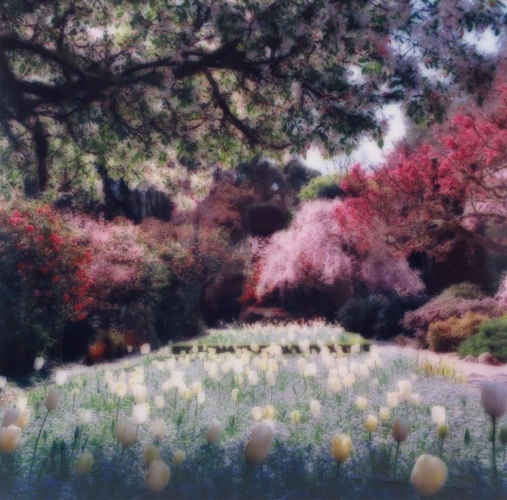 Lynn Geesaman, Am, Two Photographs, 20th/21st c: Lynn Geesaman, American, b. 1938, Two Photographs, including: "Rugen Island, Germany", 1993, ektacolor print, not visibly signed; "Villa Gameraia, Italy", 2000, ektacolor print, from an edition of 15,