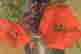 item-46061301=3