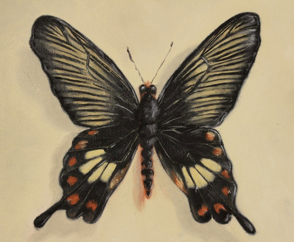 Matt Stanton, Am. Contemp., Butterfly, Acrylic (1 of 5)