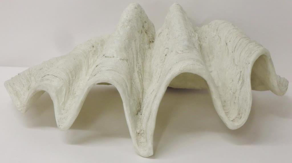 Fiberglass model of a Giant Clam Shell: A fiberglass model of a Giant Tridacna Gigas Clam Shell.(RIVERS4263)(WK) Property Title:From the Estate of Joan Rivers. Measurements: 30 x 18
