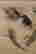 item-47617968=4