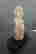 item-47617972=5
