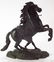 After Coustou, Marly Horse, Bronze Sculpture - 2