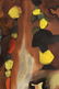 Arnold Weber, Am., Autumn Leaves Abstract, O/C - 3
