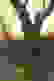 item-48158318=3