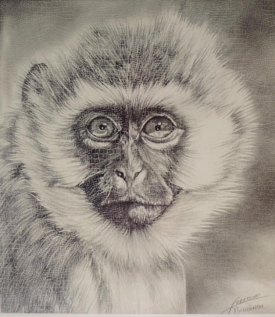 Two Drawings of Monkeys, Graphite on Paper (1 of 9)