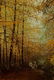 Am. School, Autumn Foliate Landscape, o/c - 3
