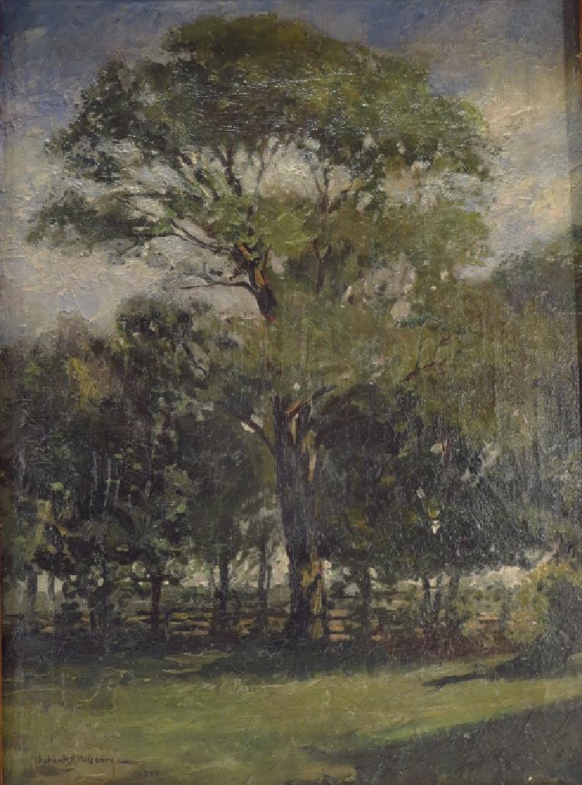 R R McGeorge, Am.1874-1963,Trees,1906, O/C (1 of 7)