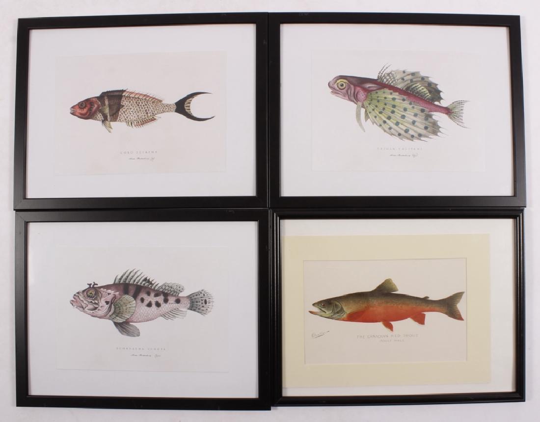 9 Color Fish Prints: 5 Antique Dentons & 4 Others (1 of 3)