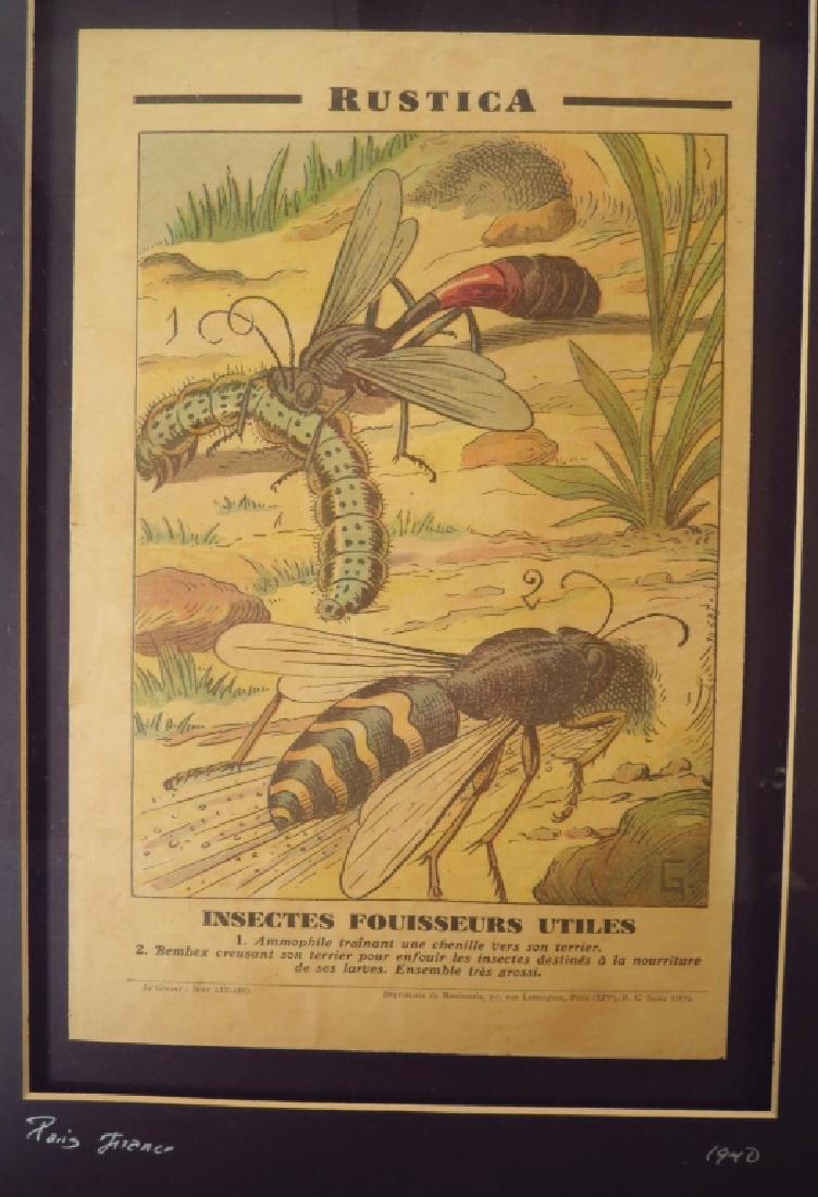 French "Rustica" Newspaper Page,1940: French Rustica Hand Tinted Newspaper Page,1940,"Rustica: Insectes Fouisseurs Utiles" (WILLIS8135) {MM} Property Title:From the Collection of Emmy Award Winner Bruce Willis Measurements:11 1/4" x 7 1/2