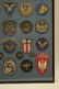 US Army Air Force and USAF Bullion Embroidered Wings - 10