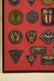 US Army Air Force and USAF Bullion Embroidered Wings - 3
