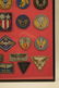 US Army Air Force and USAF Bullion Embroidered Wings - 4