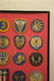 US Army Air Force and USAF Bullion Embroidered Wings - 5