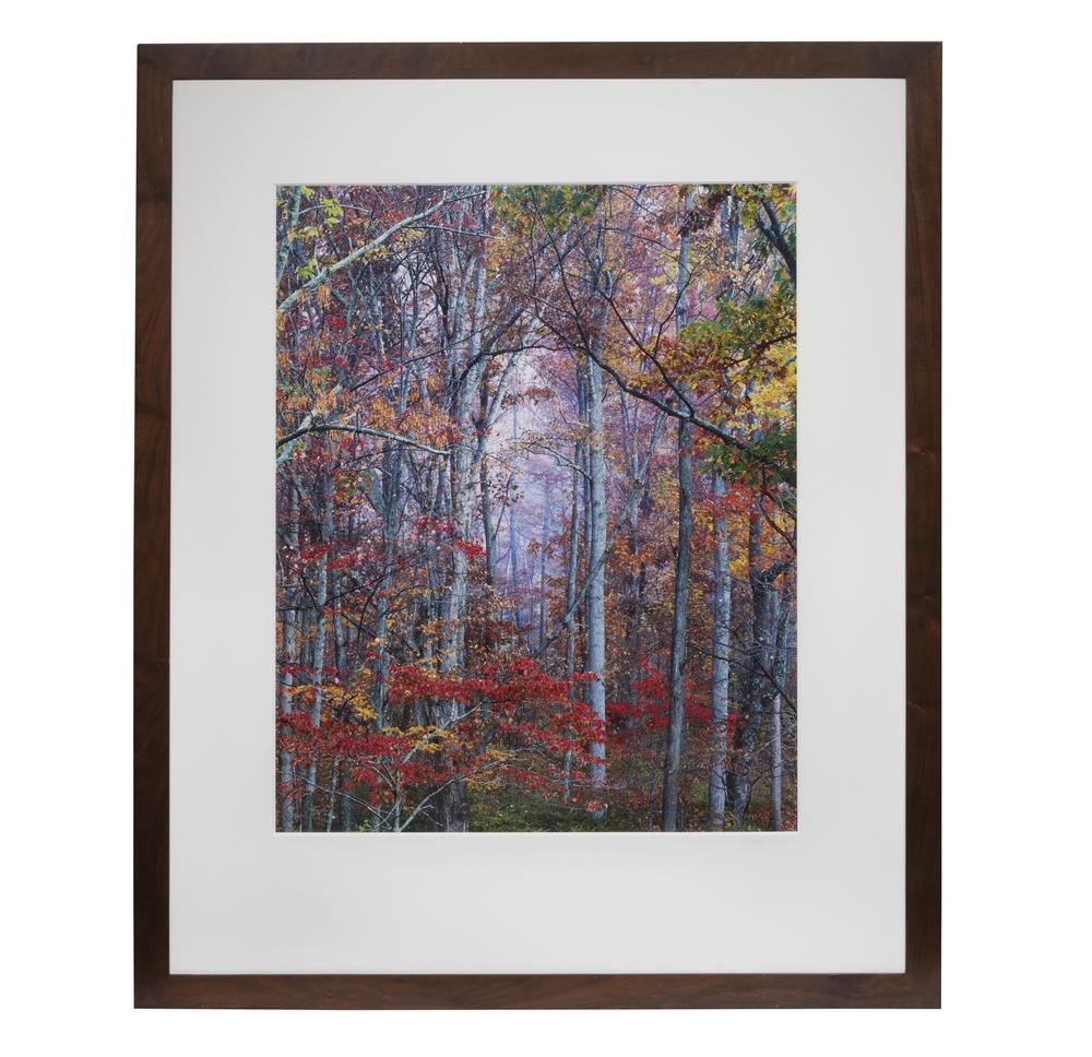 Christopher Burkett (b. 1951) Photograph: Framed Christopher Burkett (b. 1951) photograph depicting brilliant fall foliage. Dimensions: (sight) 35"h x 28"w; (overall) 52.5"h x 43.5"w. Burkett, living in Oregon, is best known for his landscape