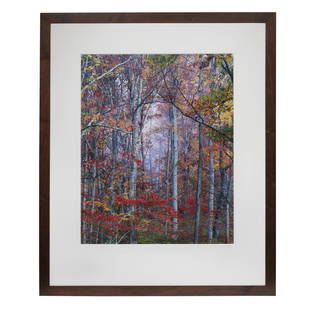 Christopher Burkett (b. 1951) Photograph: Framed Christopher Burkett (b. 1951) photograph depicting brilliant fall foliage. Dimensions: (sight) 35"h x 28"w; (overall) 52.5"h x 43.5"w. Burkett, living in Oregon, is best known for his landscape