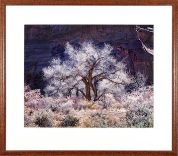 Christopher Burkett Photograph: Framed Christopher Burkett photograph. Signed lower right. Accompanied by letter from the photographer as a COA dated 1994. Receipt Bronze Coast Gallery. Dimensions: (sight) 28"h x 35.25"w; (framed) 4