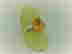 item-68863843=2