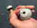 QING QIANLONG JADEITE THREE COLORS SNUFF BOTTLE - 2