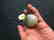 QING QIANLONG JADEITE THREE COLORS SNUFF BOTTLE - 5