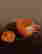 item-110113091=5