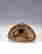 item-110113170=12