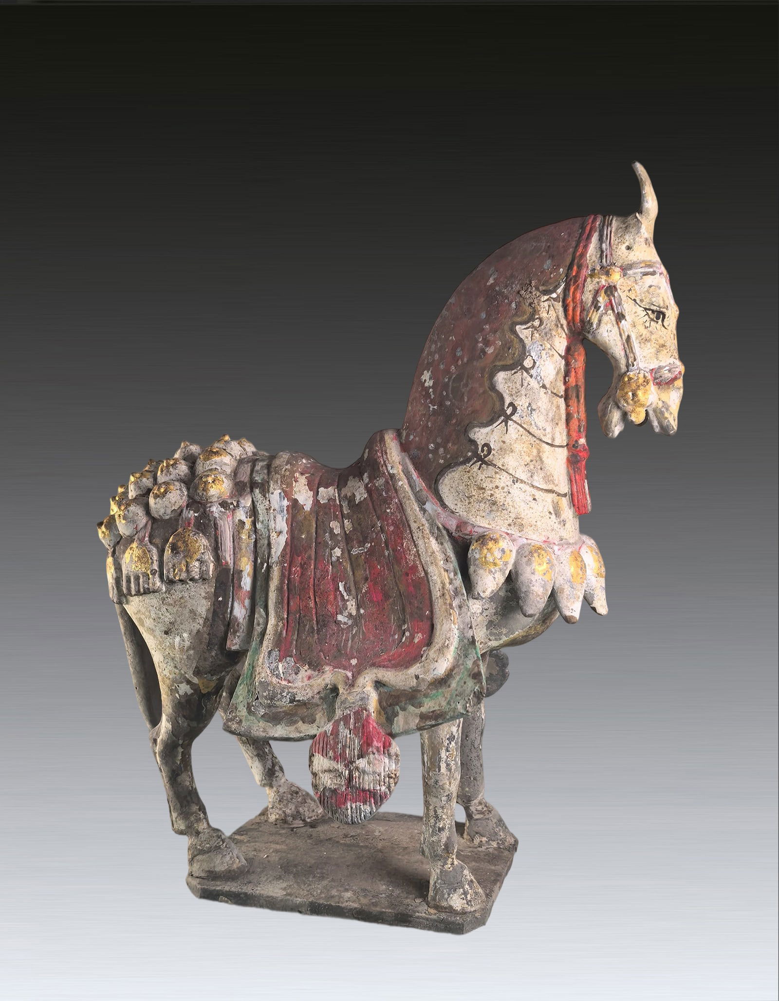 A Chinese Potrry Horse Nothern Qi Dynasty (1 of 8)