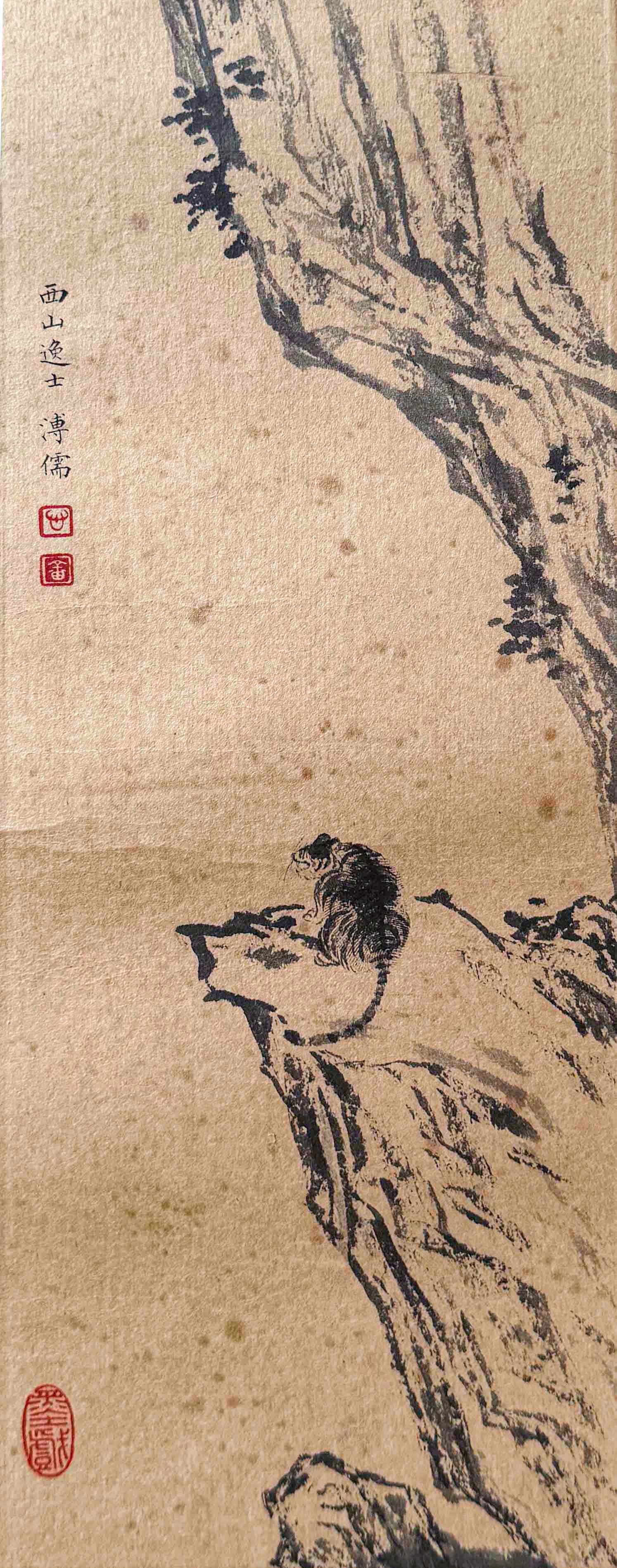 Puxinyu Tiger (1 of 5)