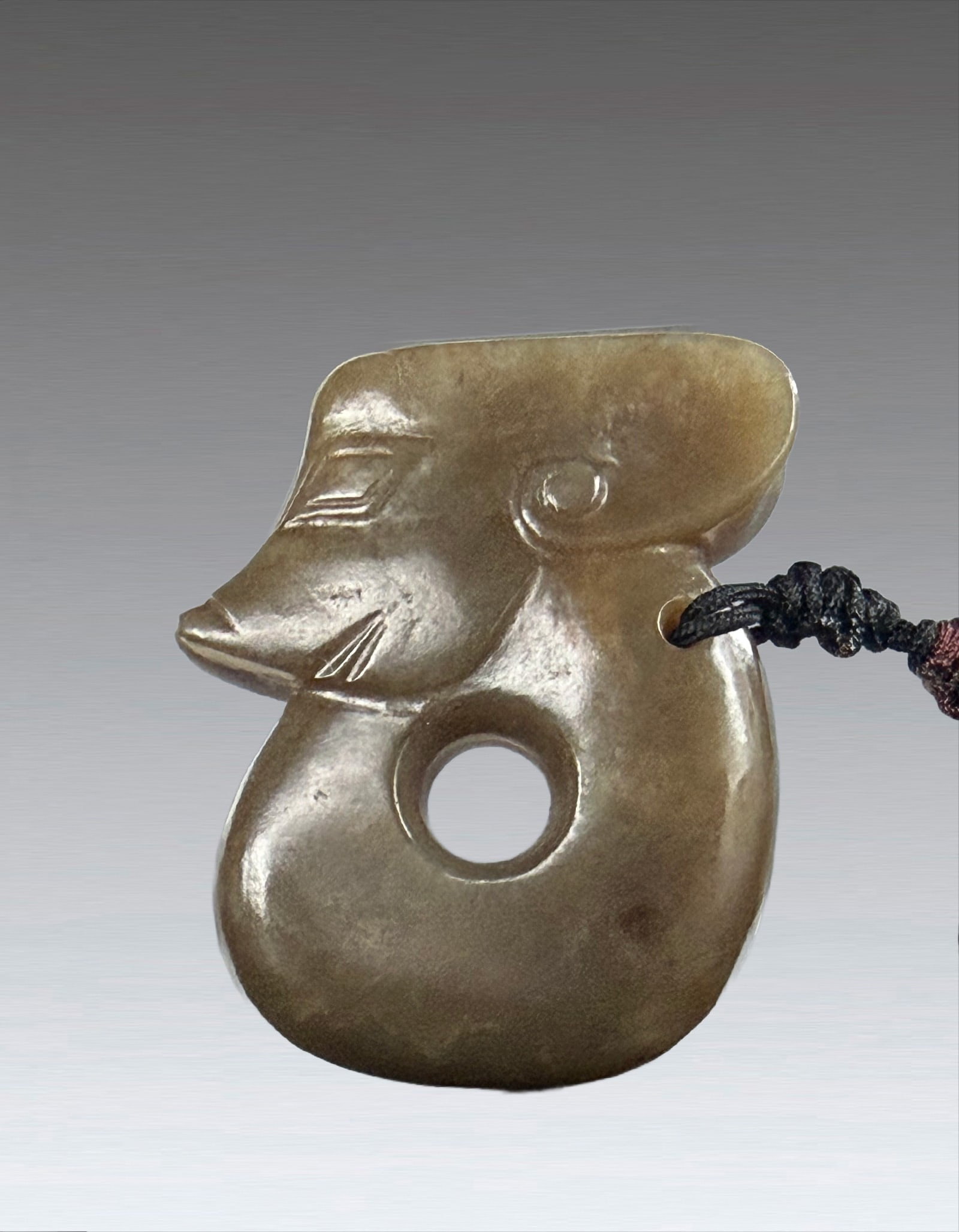 A Chinese Jade Pig Dragon Shang Dynasty (1 of 7)