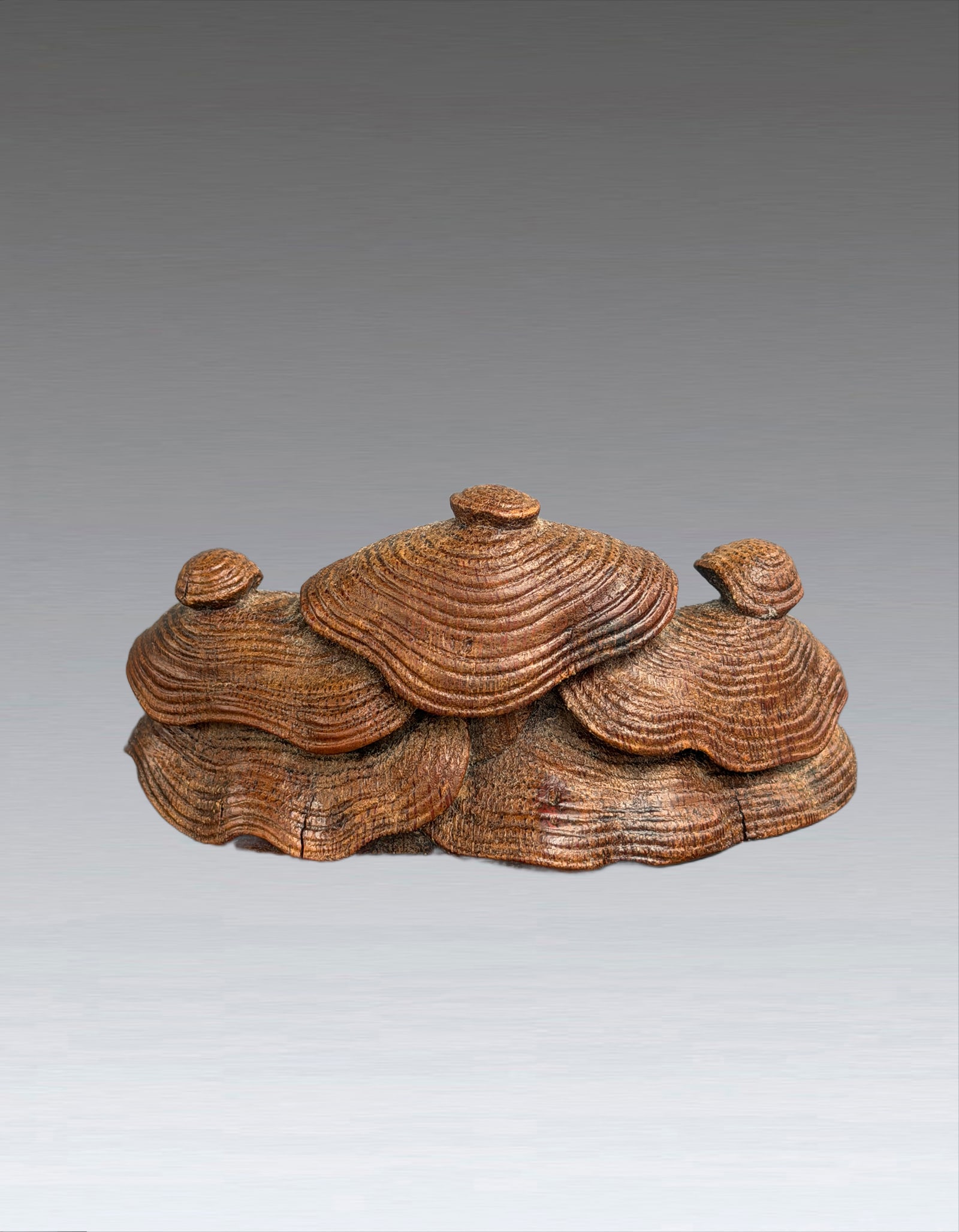 A Chinese Bamboo Lingzhi Brush Mountain Qing Dyunasty (1 of 7)