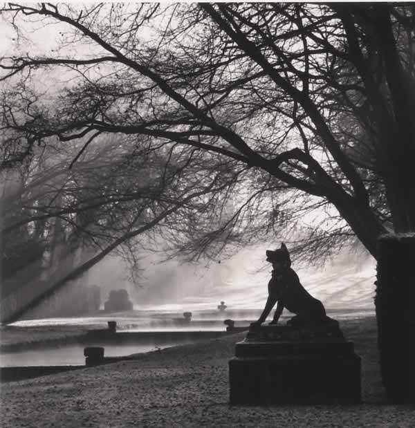 MICHAEL KENNA b. 1953 Wolf Guardian, Courance: MICHAELKENNAb. 1953Wolf Guardian, Courances, France, 1997Gelatin silver print, printed 1998.7 