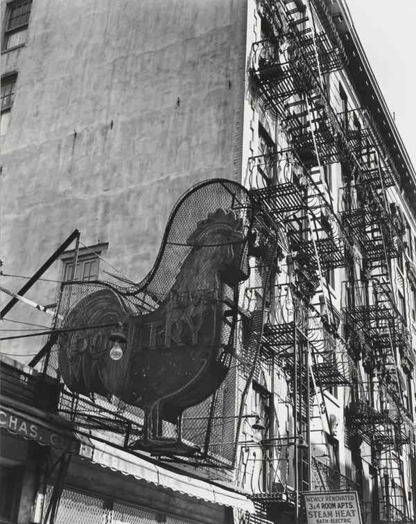 BERENICE ABBOTT 1898-1991 Poultry shop, East