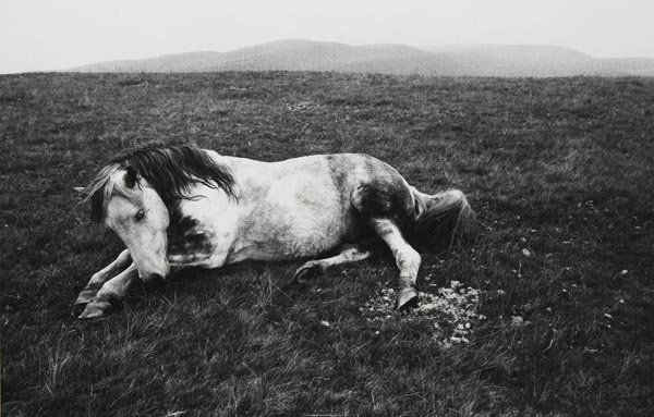 BRUCE DAVIDSON b. 1933 Selected works from the: BRUCEDAVIDSONb. 1933 Selected works from the Welsh Miners, 1965 Four gelatin silver prints, printed circa 1981.