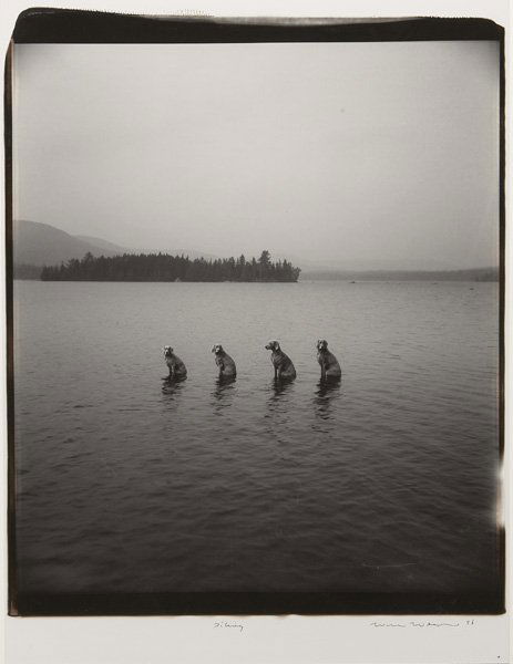 WILLIAM WEGMAN Piling, 1998 Polaroid. 24 x: WILLIAMWEGMANPiling, 1998Polaroid.24 x 20 in. (61 x 50.8 cm).Signed, tit